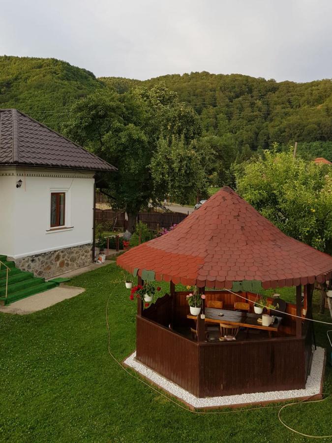 Villa La Bunicu Polovragi Esterno foto